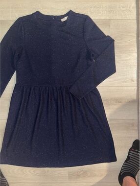 Women's LOFT navy long sleeve front button dress size medium